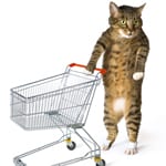 Consumer Cat