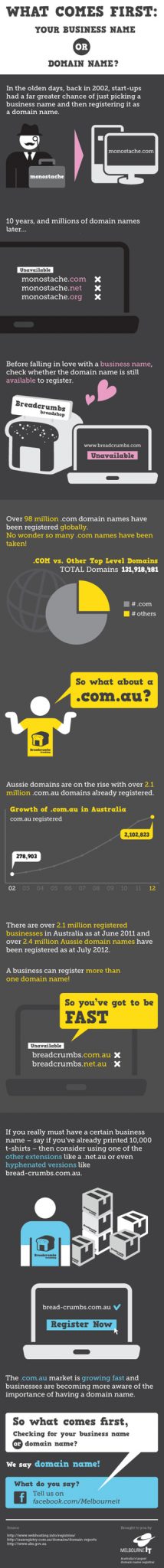 Business or domain name? Infographic