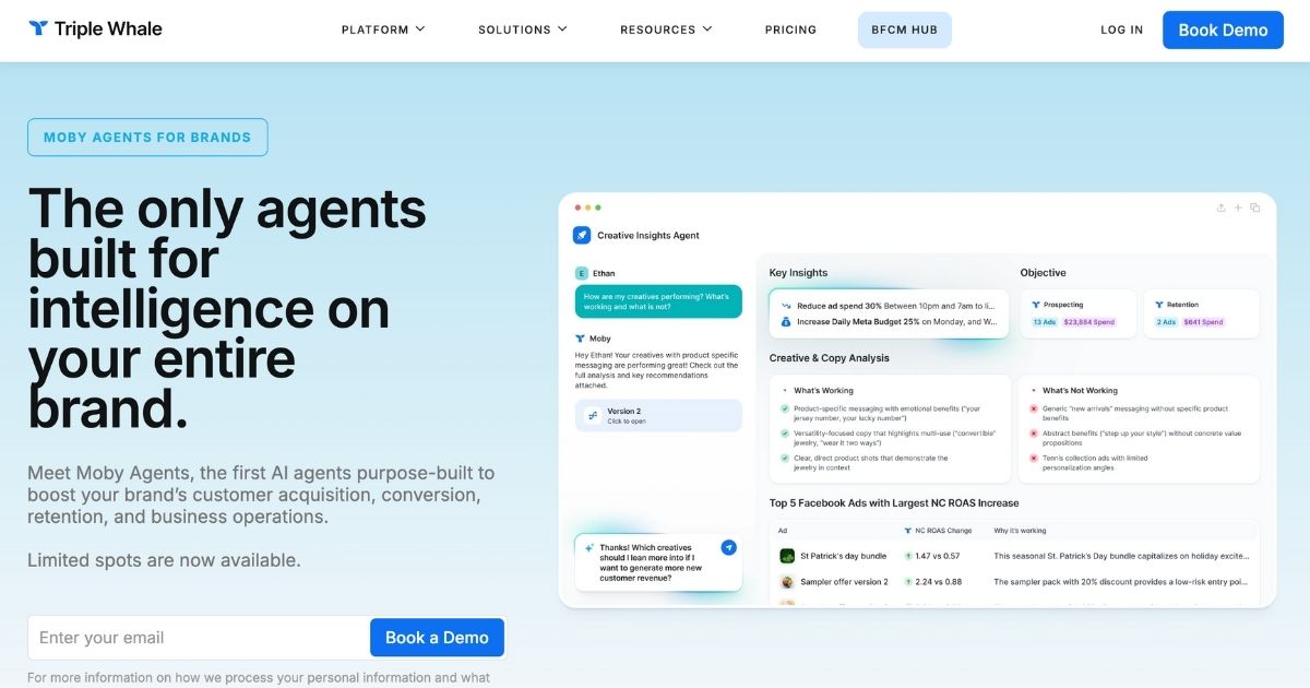 triplewhale.com_moby-agents