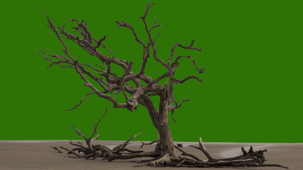 США скасовують проекти чистої енергетики на суму 7,5 мільярда доларів, а Європа прискорює екологічні витрати США скасовують проекти чистої енергетики на суму 7,5 мільярда доларів, а Європа прискорює екологічні витрати